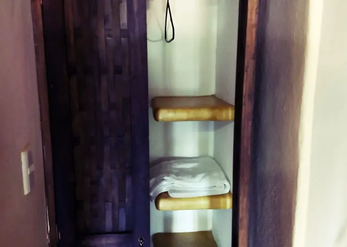 Tradicional Savaro Sa De Cv Zihuatanejo