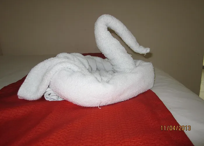 Tradicional Savaro Sa De Cv Zihuatanejo
